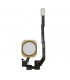 Flex Boton Home Iphone 6 iphone / 6 plus plata
