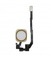 Flex Boton Home iPhone SE blanco/oro
