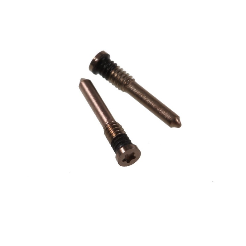 Set 2 tornillos tapa iPhone Xs Oro