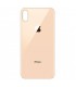 Reparaçao tapa traseira iphone Xs Max cualquer cor