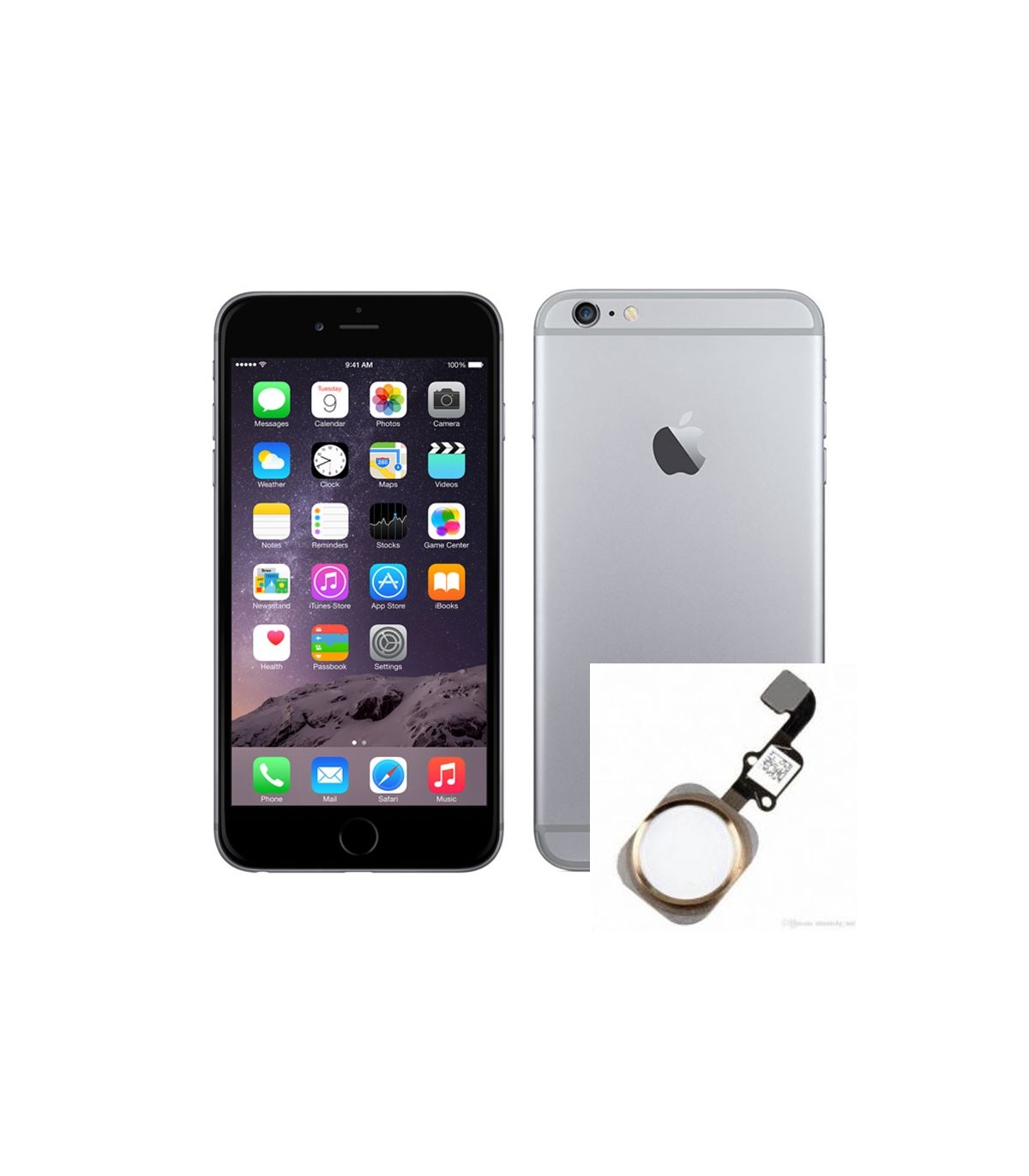 Reparacion Boton home iPhone 6s Plus
