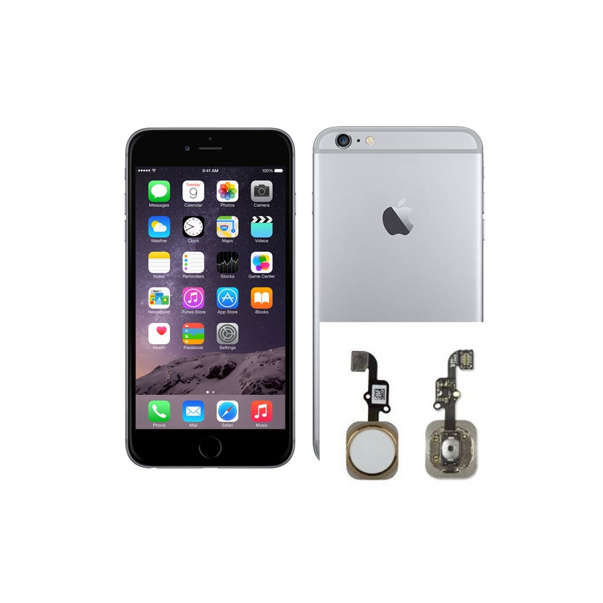 Reparacion Boton home iPhone 6 Plus