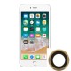 Reparacion Lente Camara trasera iPhone 6