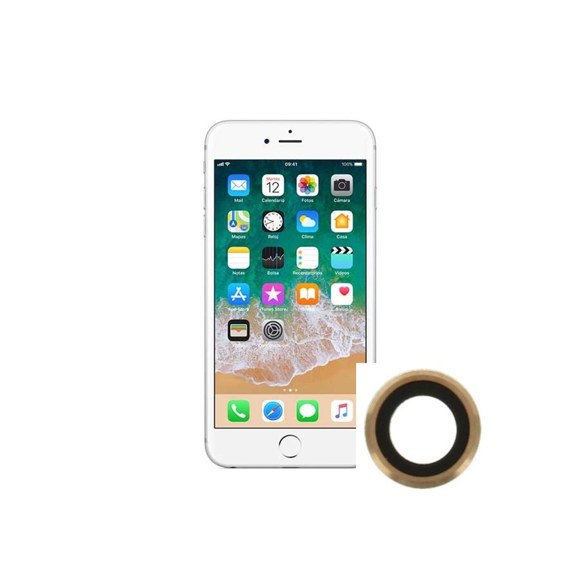 Reparacion Lente Camara trasera iPhone 6