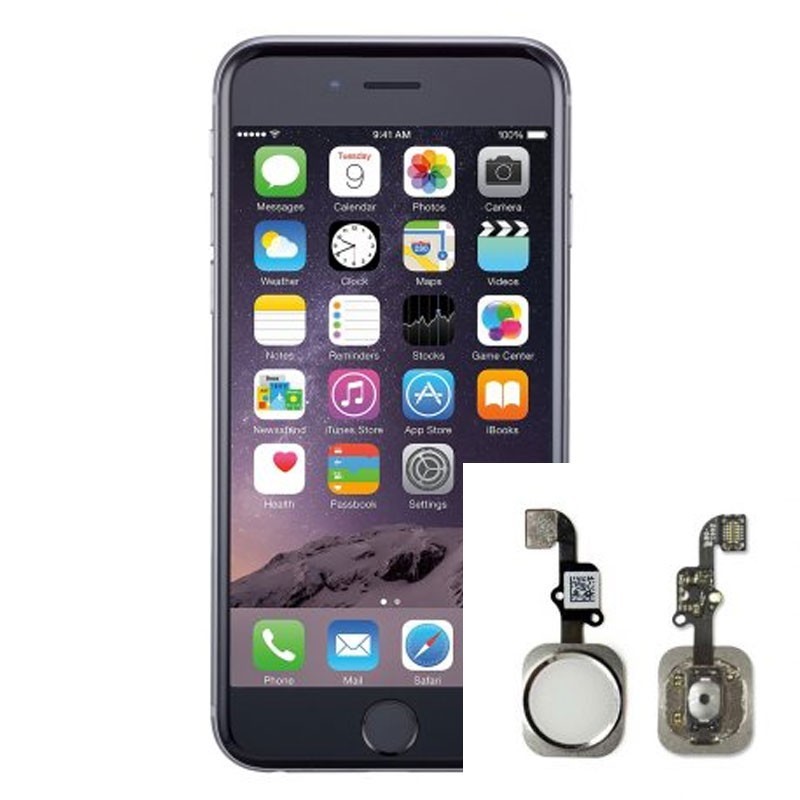 Reparacion Boton home iPhone 6