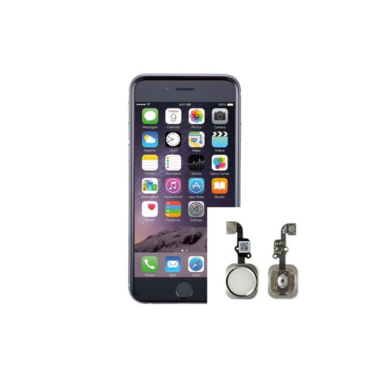 Reparacion Boton home iPhone 6