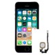 Reparacion Flex Boton home iPhone SE