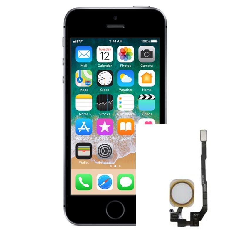 Reparacion Flex Boton home iPhone SE
