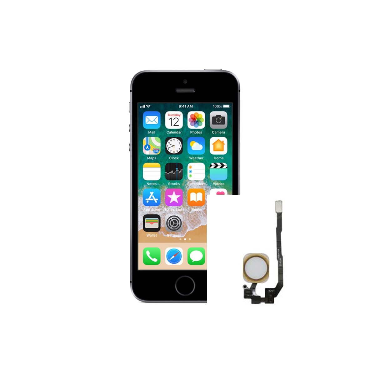 Reparacion Flex Boton home iPhone SE