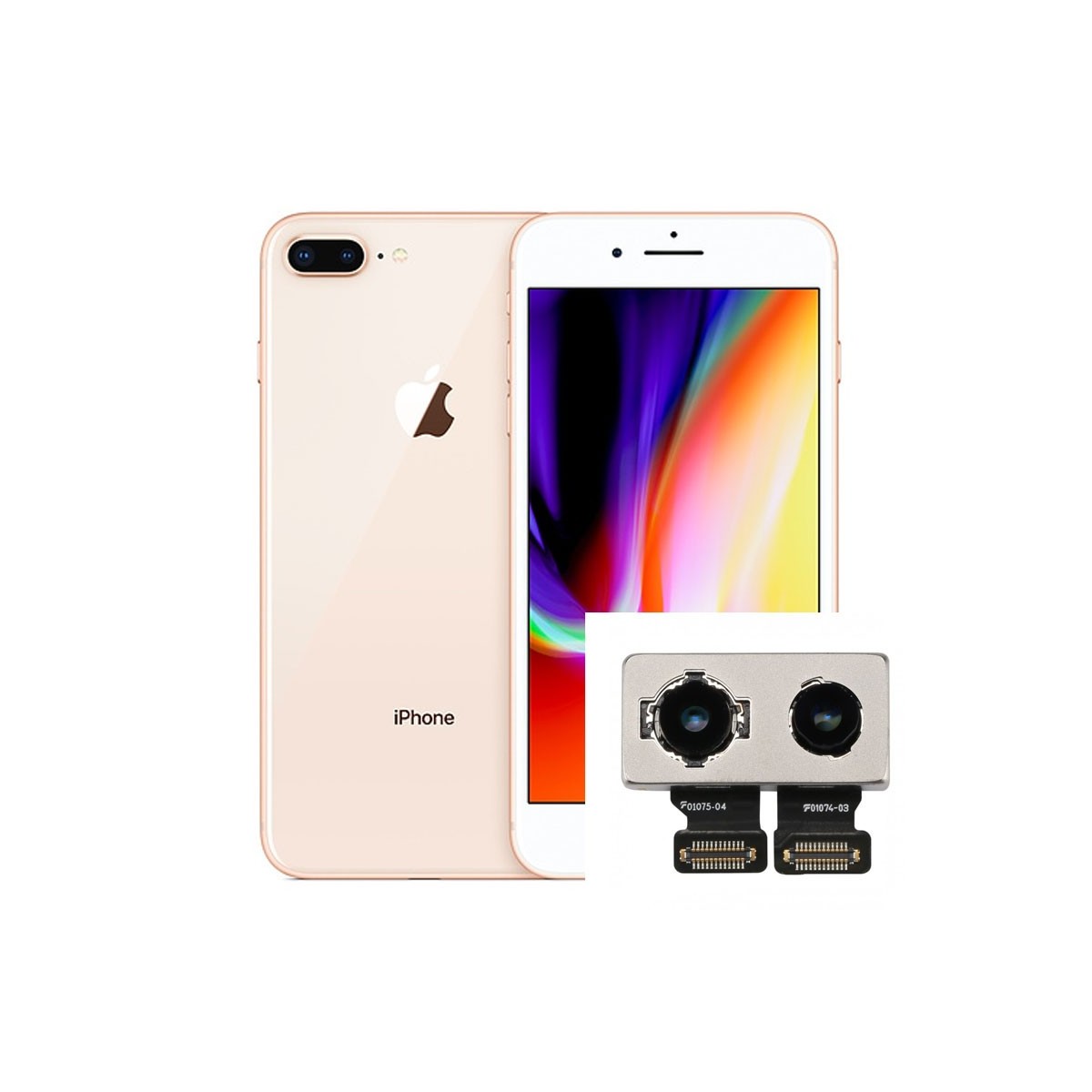 Especificado Idear Objetor ✓ Reparacion Camara trasera iPhone 8 Plus