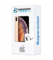 Reparacion Flex ignição e volume iphone Xs Max