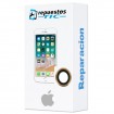 Reparacion Lente Camara trasera iPhone 6