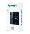 Reparacion/ cambio Lente Camara trasera iPhone 12 Pro Max