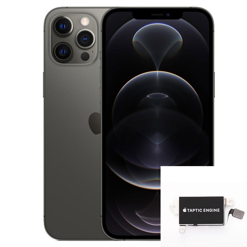 Reparacion/ cambio Vibrador iPhone 12 Pro Max