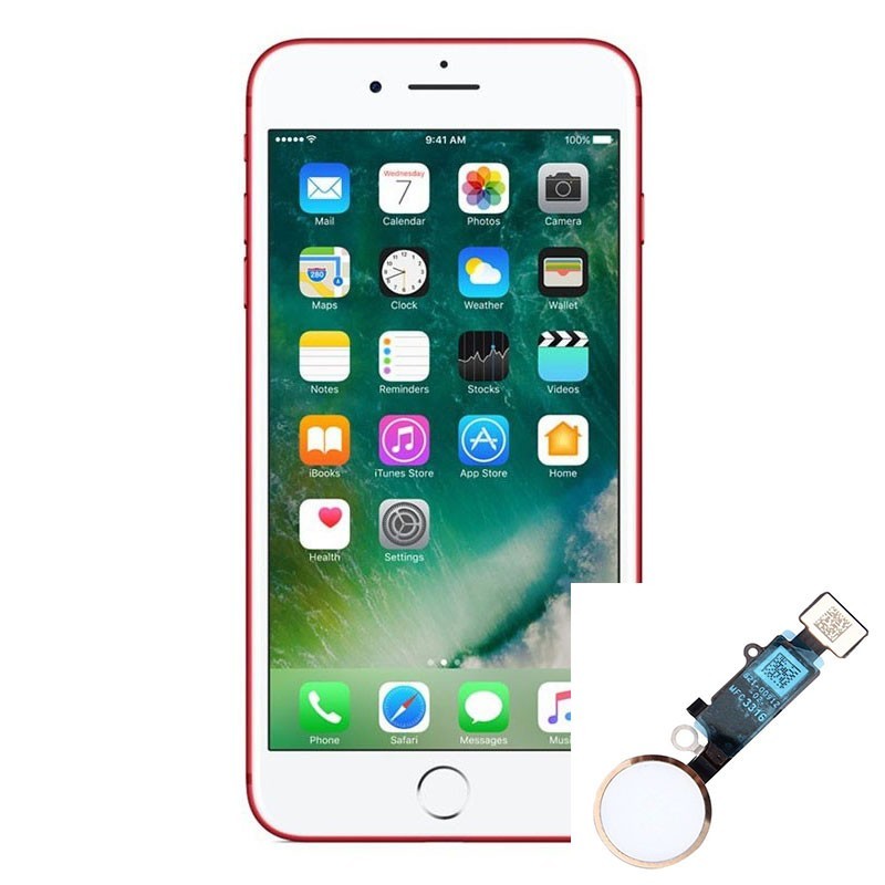 Reparacion/ cambio Boton home funcion click iPhone 7/ 7 Plus/ 8/ 8 Plus