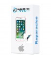 Reparacion/ cambio Boton home funcion click iPhone 7/ 7 Plus/ 8/ 8 Plus/ SE 2020
