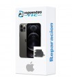 Reparacion/ cambio Altavoz buzzer iPhone 11 Pro Max