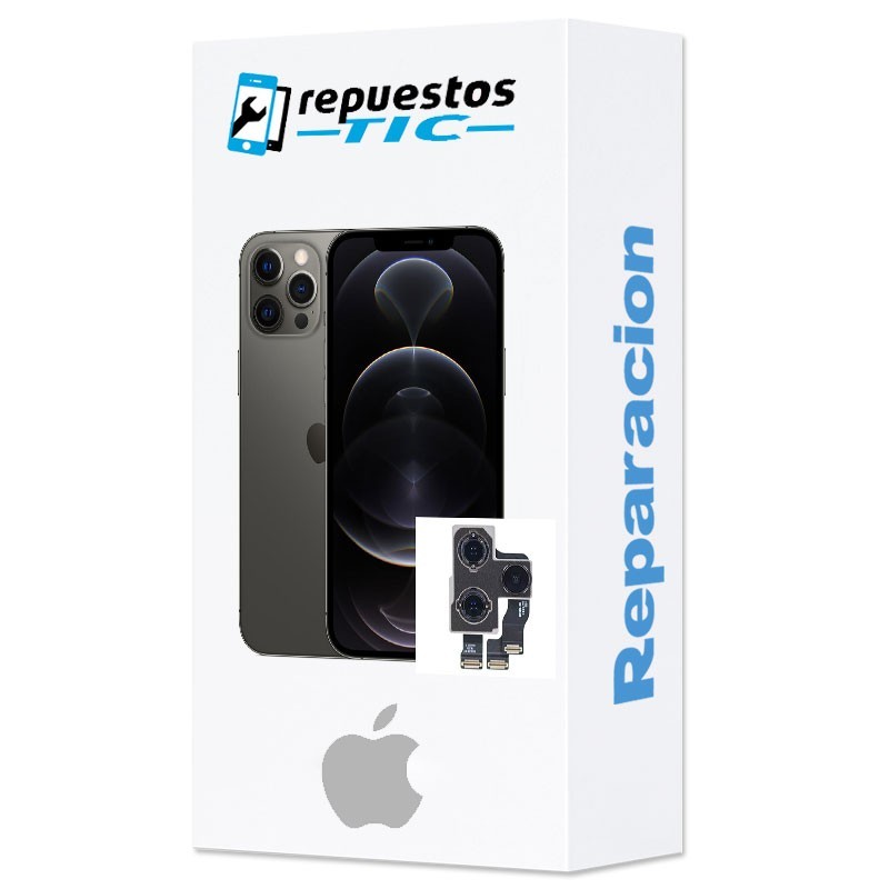 Reparacion/ cambio Camara trasera iPhone 11 Pro Max
