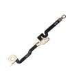 Flex Antena bluetooth iPhone 11