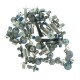 Set tornillos iPhone 11