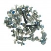 Set tornillos iPhone 11