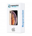 Cambio tapa trasera iPhone Xs Max (cualquier color)