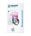 Reparacion Chip Wifi iphone 8