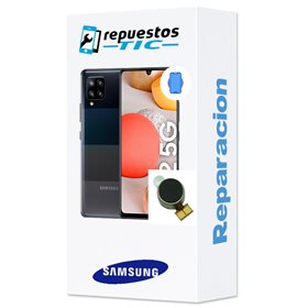 Reparacion/ cambio Vibrador Samsung Galaxy A42 5G A426