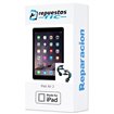 Reparacion/ cambio Flex encendido y microfono iPad Air 2