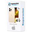 Reparacion/ cambio Altavoz auricular iPhone 13 Pro Max