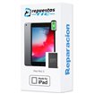 Reparacion/ cambio Bateria iPad Mini 5 2019 (A2133 A2124 A2126 A2125)