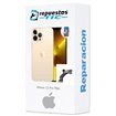 Reparacion/ cambio Camara frontal iPhone 13 Pro Max