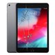 Reparacion/ cambio Pantalla iPad Mini 5 completa LCD + tactil