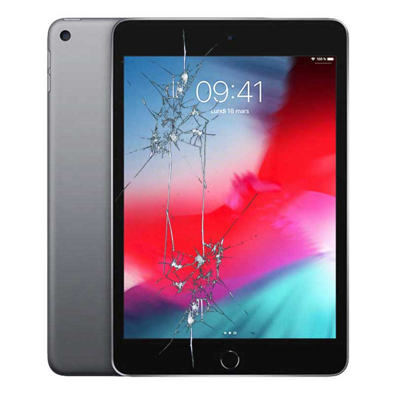 Reparacion/ cambio Pantalla iPad Mini 5 completa LCD + tactil