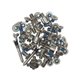 Set tornillos iPhone 12 Mini 