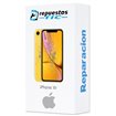 Cambio pantalla iPhone Xr + tapa trasera (alta calidad)