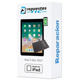 Cambio Bateria iPad 5