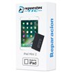 Cambio Bateria iPad Mini 2