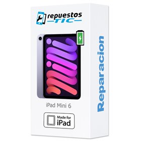 Cambio Bateria iPad Mini 6 2021 
