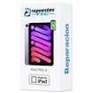 Cambio Bateria iPad Mini 6 2021