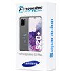 Cambio tapa trasera Samsung Galaxy S20 Plus 4G/ 5G 