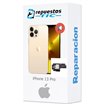 Cambio Altavoz buzzer iPhone 13 Pro