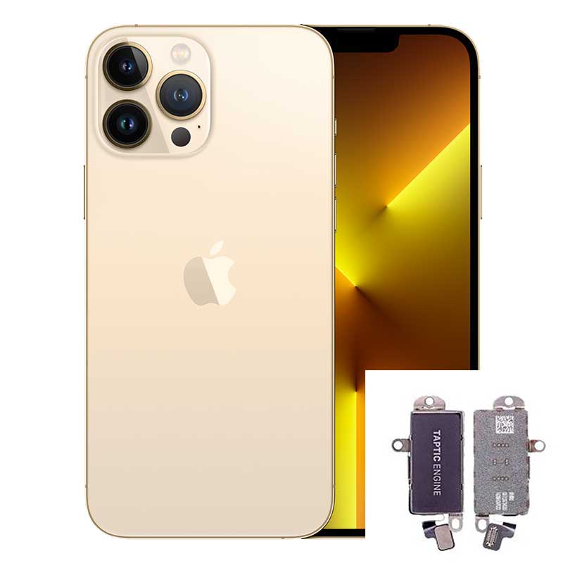 Cambio Vibrador iPhone 13 Pro 