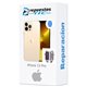 Cambio Vibrador iPhone 13 Pro 