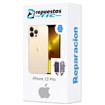 Cambio Vibrador iPhone 13 Pro 