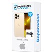 Cambio Flex Antena Wifi iPhone 13 Pro