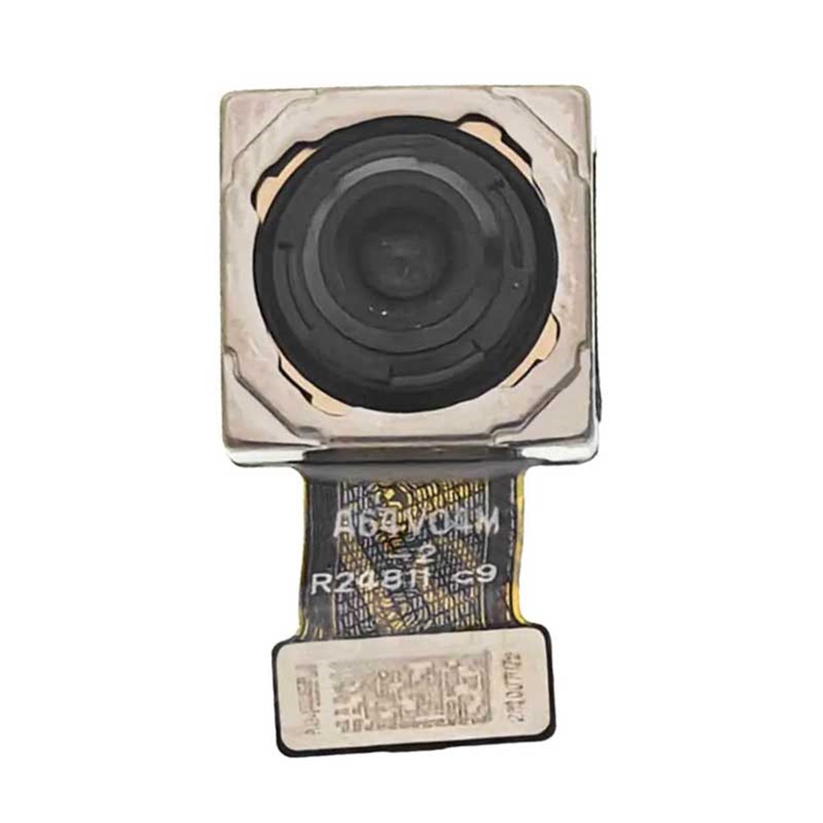 Camara trasera principal Oppo A98 5G (CPH2529) 