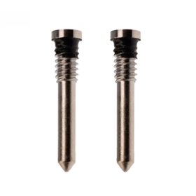 Set tornillos Tapa trasera iPhone 16 Pro/ Pro Max (2) Desierto Titanio