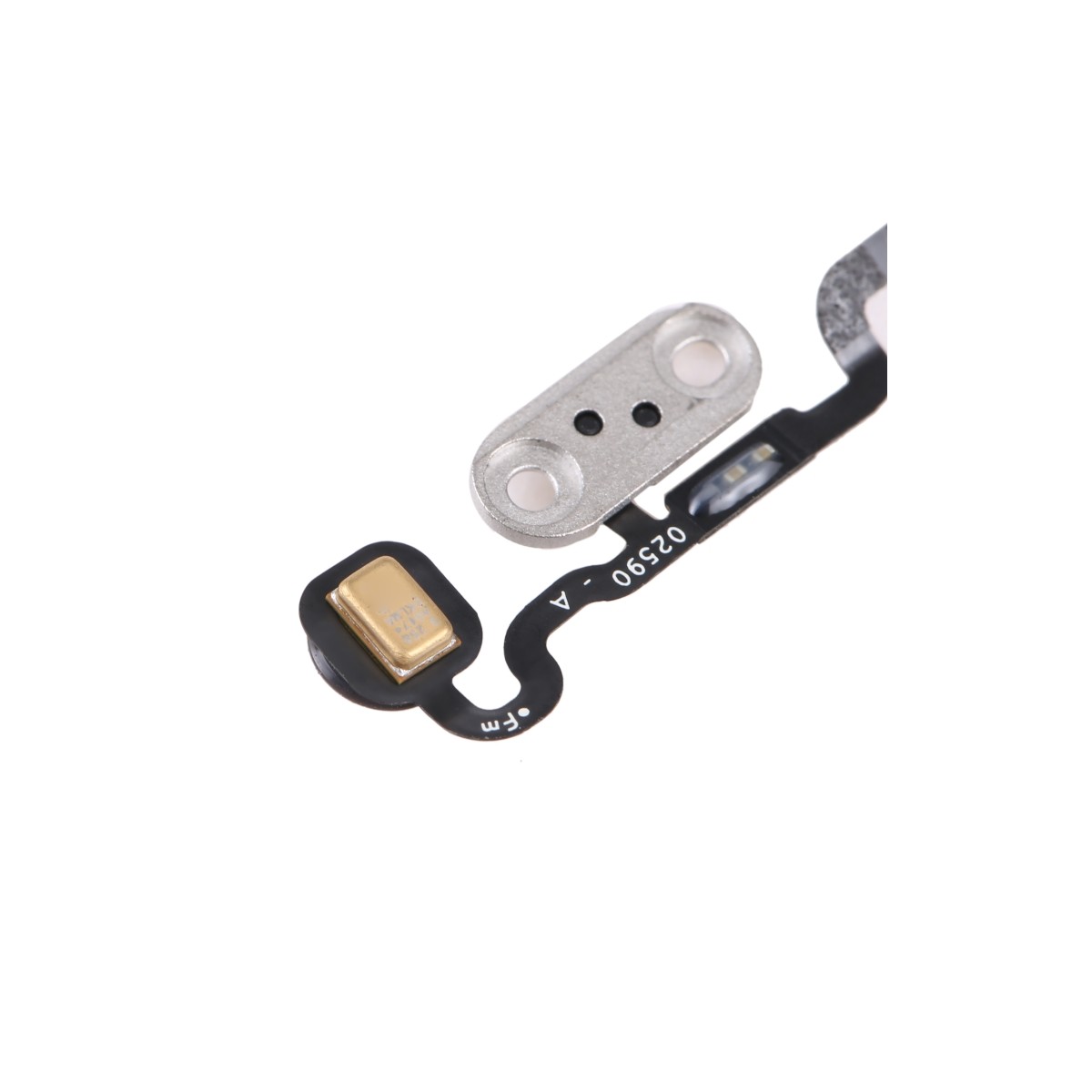 Flex encendido Apple Watch Series 6 44mm
