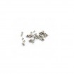 Set tornillos iPhone 3G/ 3Gs completo
